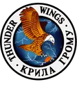 Thunder Wings