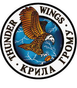Thunder Wings