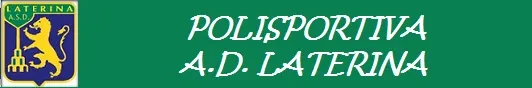 Polisportiva A.s.d. Laterina